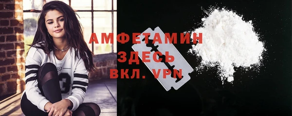 шишки Нязепетровск