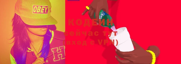 шишки Нязепетровск
