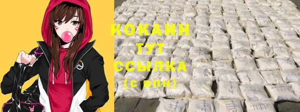 прущая мука Няндома