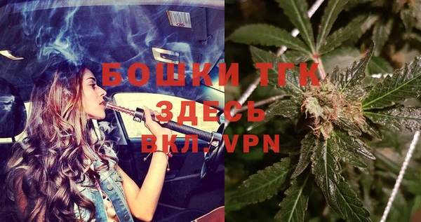 шишки Нязепетровск
