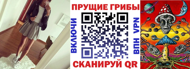 Галлюциногенные грибы Cubensis  Купить где  Ефремов 